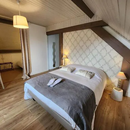 ホテル Logis Des Aulnettes 2*